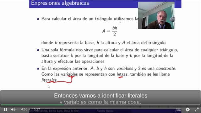 Screenshot del curso "Algebra Basica" online