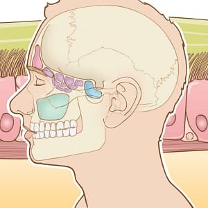 Acute and Chronic Rhinosinusitis: A Comprehensive Review