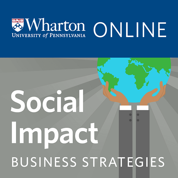Business Strategies for Social Impact